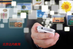 2017高考專業(yè)解讀 計(jì)算機(jī)專業(yè)前景展望——網(wǎng)絡(luò)與信息安全與軟件開發(fā)方向